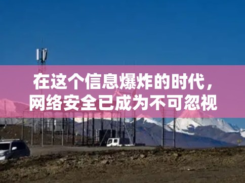 在这个信息爆炸的时代，网络安全已成为不可忽视的重要议题。面对各种VPN软件和服务，许多人可能出于不同的考虑，想要下载或访问特定的网站或资源。然而，面对网络安全的问题，选择可靠的VPN服务显得尤为重要