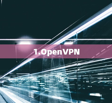1.OpenVPN