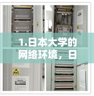 1.日本大学的网络环境，日本的大学通常会提供网络服务，包括VPN服务。比如，东京大学、京都大学、大阪大学等学校会提供校园VPN服务，这些服务通常包括免费的接入和使用