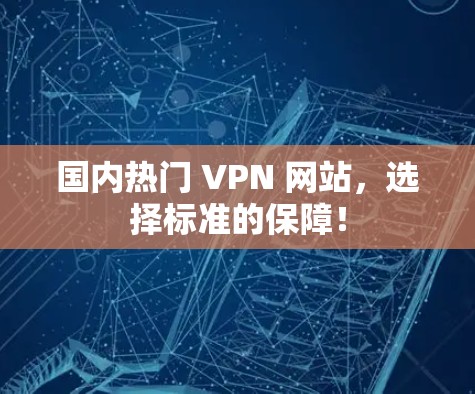 国内热门 VPN 网站，选择标准的保障！