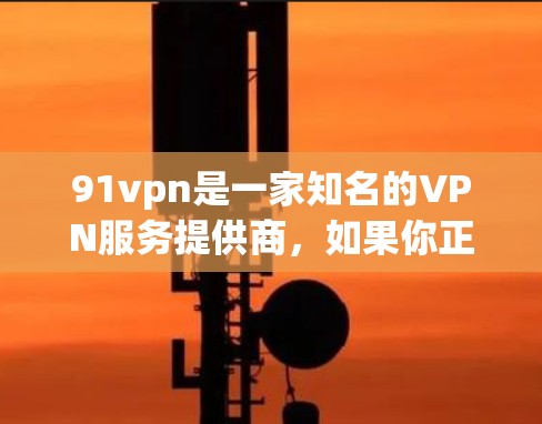 91vpn是一家知名的VPN服务提供商，如果你正在寻找一个安全、可靠的VPN服务，91vpn是一个不错的选择。不过，需要注意的是，91vpn的免费服务可能有限，或者其免费试用功能可能受限