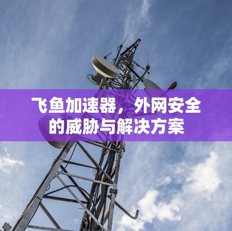 飞鱼加速器，外网安全的威胁与解决方案
