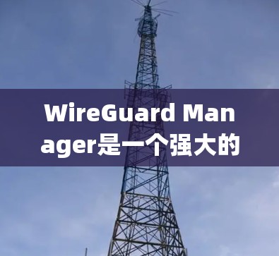 WireGuard Manager是一个强大的网络保护工具，能够有效防止DDoS攻击、网络攻击、数据窃取和数据泄露。以下是一个系统化的使用指南
