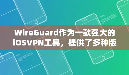 WireGuard作为一款强大的iOSVPN工具，提供了多种版本，包括Pro、ProX和Pro+以下是关于iOS WireGuard的详细介绍，供您参考