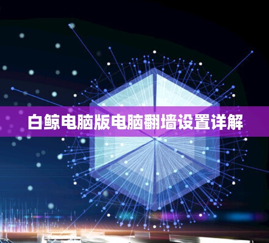 白鲸电脑版电脑翻墙设置详解