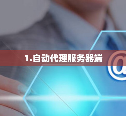 1.自动代理服务器端