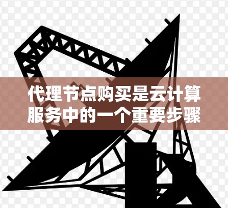 代理节点购买是云计算服务中的一个重要步骤，以下是详细的步骤说明