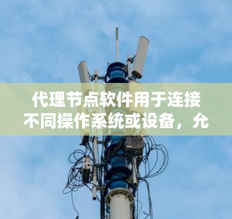代理节点软件用于连接不同操作系统或设备，允许在网页上访问跨平台或跨设备的网站。以下是使用代理节点软件的步骤指南