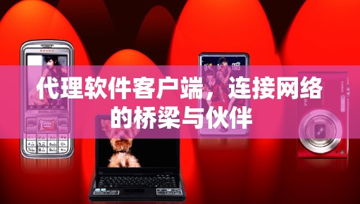 代理软件客户端，连接网络的桥梁与伙伴