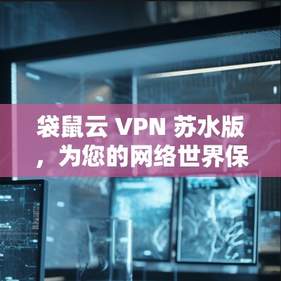 袋鼠云 VPN 苏水版，为您的网络世界保驾护航