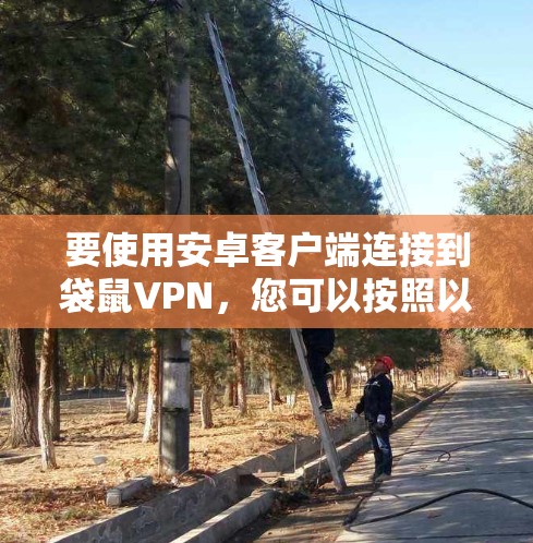 要使用安卓客户端连接到袋鼠VPN，您可以按照以下步骤进行