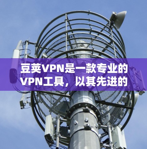 豆荚VPN是一款专业的VPN工具，以其先进的加密技术和专业配置著称。以下是一步步的下载和使用指南