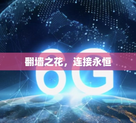 翻墙之花，连接永恒