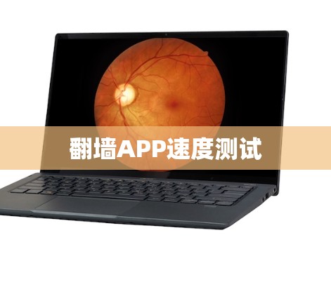 翻墙APP速度测试