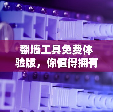 翻墙工具免费体验版，你值得拥有的上网新工具