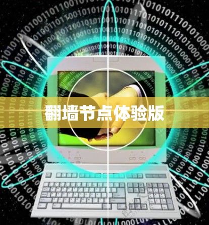 翻墙节点体验版