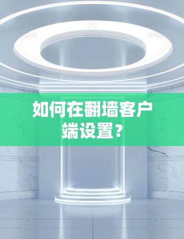 如何在翻墙客户端设置？