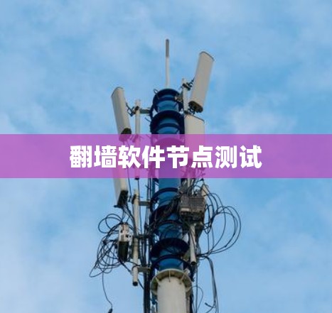 翻墙软件节点测试