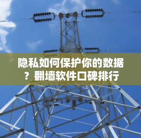 隐私如何保护你的数据？翻墙软件口碑排行