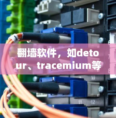 翻墙软件，如detour、tracemium等，是绕过防火墙的工具，通常用于访问断绝的网络资源。以下是对这些软件的真实速度的详细分析