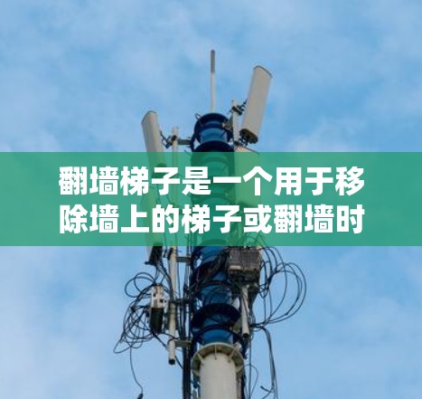 翻墙梯子是一个用于移除墙上的梯子或翻墙时使用的工具，其选择应根据具体的翻墙需求和环境条件进行。以下是一些综合考虑的因素