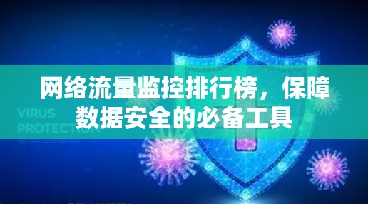 网络流量监控排行榜，保障数据安全的必备工具