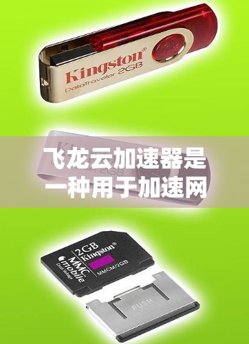 飞龙云加速器是一种用于加速网页和视频的软件工具，帮助用户提升网络连接的性能。以下是对该工具的详细总结