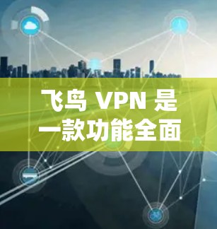 飞鸟 VPN 是一款功能全面的VPN服务，提供匿名、加密、延迟、数据保护等多种功能。以下是详细的版本介绍