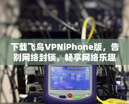 下载飞鸟VPNiPhone版，告别网络封锁，畅享网络乐趣