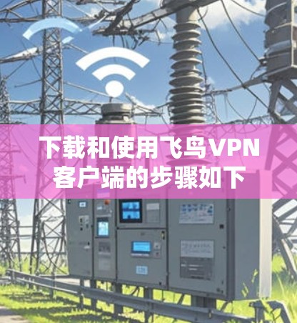 下载和使用飞鸟VPN客户端的步骤如下