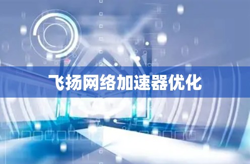 飞扬网络加速器优化