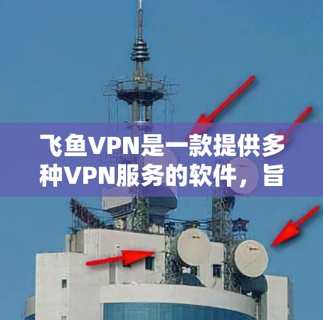 飞鱼VPN是一款提供多种VPN服务的软件，旨在为用户提供安全、可靠的网络连接。以下是其主要功能的详细介绍