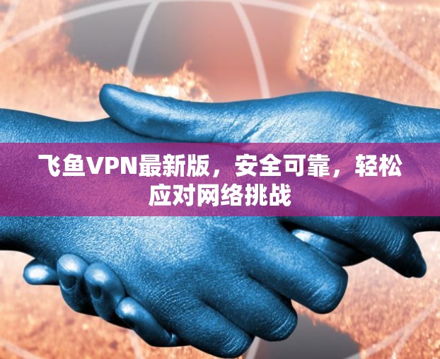 飞鱼VPN最新版，安全可靠，轻松应对网络挑战
