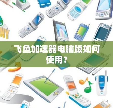 飞鱼加速器电脑版如何使用？