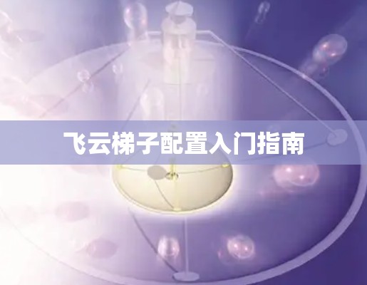 飞云梯子配置入门指南