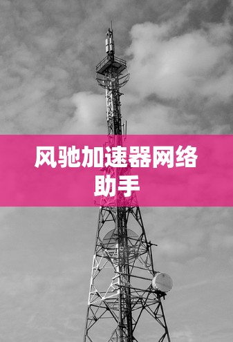 风驰加速器网络助手