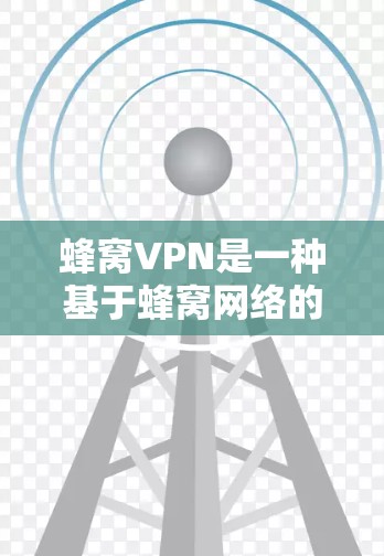 蜂窝VPN是一种基于蜂窝网络的VPN服务，旨在提供更高的连接速度和更安全的网络体验。以下是对蜂窝VPN的详细分析