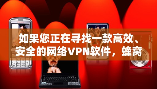 如果您正在寻找一款高效、安全的网络VPN软件，蜂窝VPN是一个值得考虑的选择。无论是选择免费版还是付费版，蜂窝VPN都能满足您的需求。如有任何问题，建议您访问官方网站或联系客服获取详细信息