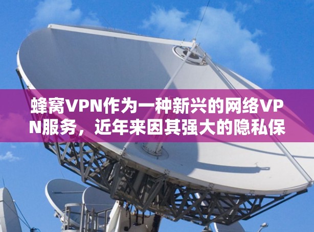 蜂窝VPN作为一种新兴的网络VPN服务，近年来因其强大的隐私保护能力而受到关注。以下是对蜂窝VPN隐私保护的详细介绍