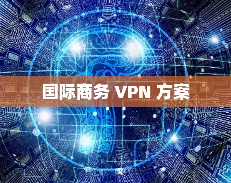 国际商务 VPN 方案