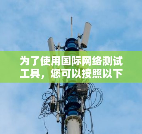 为了使用国际网络测试工具，您可以按照以下步骤进行