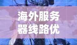 海外服务器线路优化方案，构建高效传输网络